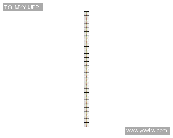 《2025年业余足球联赛明星球员全名单及实力分析》