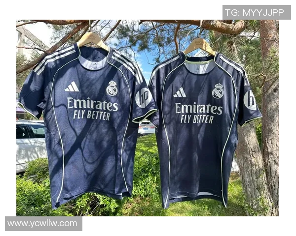 穿着25号球衣的足球明星盘点及其职业生涯成就分析